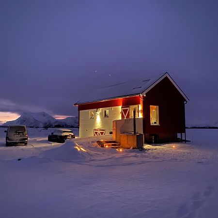 Unique Barnhouse In Amazing Gimsoy In Lofoten Saupstad  Luaran gambar