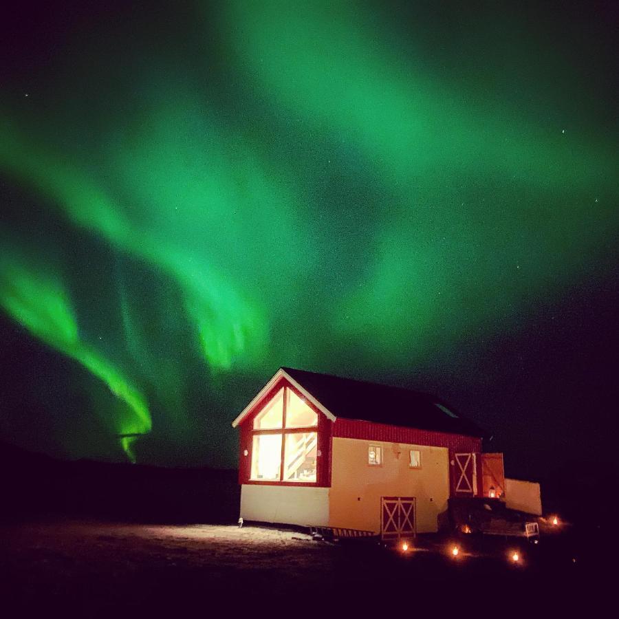 Unique Barnhouse In Amazing Gimsoy In Lofoten Saupstad  Luaran gambar
